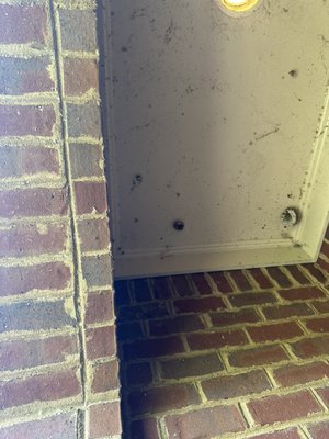 Home Pressure Wash - Today we completed a full exterior home wash for a client dealing with unsightly algae, dirt buildup, and multiple nests around the property — including bird, wasp, and bee nests. We carefully removed all nests with caution and safety in mind, then treated and pressure washed the home’s siding to eliminate algae and grime. The transformation was incredible — leaving the home looking fresh, clean, and nest-free. Another homeowner thrilled with the results and peace of mind Home Pressure Wash - Today we completed a full exterior home wash for a client dealing with unsightly algae, dirt buildup, and multiple nests around the property — including bird, wasp, and bee nests. We carefully removed all nests with caution and safety in mind, then treated and pressure washed the home’s siding to eliminate algae and grime. The transformation was incredible — leaving the home looking fresh, clean, and nest-free. Another homeowner thrilled with the results and peace of mind