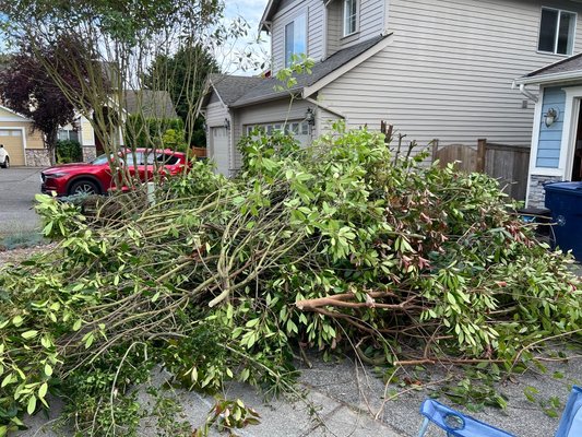 Yard debris clean up - We helped a customer clean up his driveway after they pruned some trees. Yard debris clean up - We helped a customer clean up his driveway after they pruned some trees.