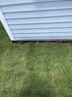 lawn restoration - customer asked for lawn restoration, based on their location and necessity we picked a low-maintenance product that still gives a bit of curb appeal but reduces the burden of seasonal maintenance by 70-80%.