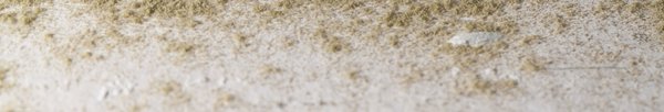 Single Area Mold Inspection - One area inspection includes a single area of concern. Maybe you have had a reoccurring leak under the kitchen sink or the Air conditioner has been dripping in the attic or one of your windows has been leaking and now you’re concerned about the damage or mold it has caused. We will inspect for moisture and may recommend testing for mold if needed and prepare a report of our findings for you. We will consult with you and help you decide the best course of action for the remediation and/or the repairs.
Inspection and Report: Call for Quote
Written Inspection report and Laboratory Testing Report turnaround time 4hrs to 72hrs – prices vary
Schedule Service Today! Single Area Mold Inspection - One area inspection includes a single area of concern. Maybe you have had a reoccurring leak under the kitchen sink or the Air conditioner has been dripping in the attic or one of your windows has been leaking and now you’re concerned about the damage or mold it has caused. We will inspect for moisture and may recommend testing for mold if needed and prepare a report of our findings for you. We will consult with you and help you decide the best course of action for the remediation and/or the repairs.
Inspection and Report: Call for Quote
Written Inspection report and Laboratory Testing Report turnaround time 4hrs to 72hrs – prices vary
Schedule Service Today!