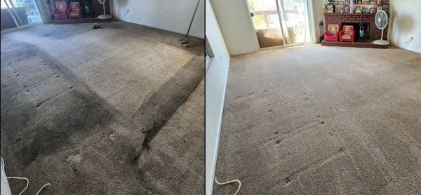 Professional steam carpet cleaning - This is some of my carpet cleaning that I’ve done. We removed stains and odor. Professional steam carpet cleaning - This is some of my carpet cleaning that I’ve done. We removed stains and odor.