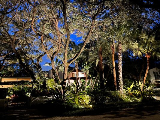 Oak Trees at Night - This project demonstrates how lighting up large oak trees can provide a beautiful nightime effect. Oak Trees at Night - This project demonstrates how lighting up large oak trees can provide a beautiful nightime effect.