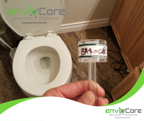 Mold Sampling and Testing - Did a whole house testing way back 2016 Mold Sampling and Testing - Did a whole house testing way back 2016
