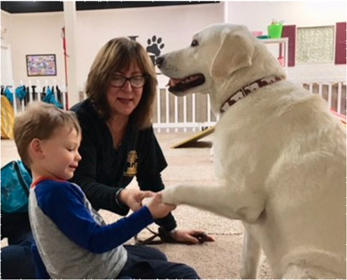 Become a Canine Team - **We cannot accept any active service dogs in our program as we respect their role required by the ADI (Assistance Dog International). Service dogs are not to be engaged with, or be distracted from, their focus of mitigating a person's disability.**
All of our dogs must be “stranger friendly“ and pass our basic temperament and control evaluation before being considered for the program. After passing the initial evaluation, teams are scheduled for 2 supervised trial sessions with our participants. Supervised participant sessions are scheduled according to your availability. If all goes well, team training can begin.
To remain a certified team in good standing, we ask that all teams attend a minimum of 2 sessions per month, either on weekdays or a Saturday for one year. Membership is renewable yearly upon payment of insurance. Become a Canine Team - **We cannot accept any active service dogs in our program as we respect their role required by the ADI (Assistance Dog International). Service dogs are not to be engaged with, or be distracted from, their focus of mitigating a person's disability.**
All of our dogs must be “stranger friendly“ and pass our basic temperament and control evaluation before being considered for the program. After passing the initial evaluation, teams are scheduled for 2 supervised trial sessions with our participants. Supervised participant sessions are scheduled according to your availability. If all goes well, team training can begin.
To remain a certified team in good standing, we ask that all teams attend a minimum of 2 sessions per month, either on weekdays or a Saturday for one year. Membership is renewable yearly upon payment of insurance.