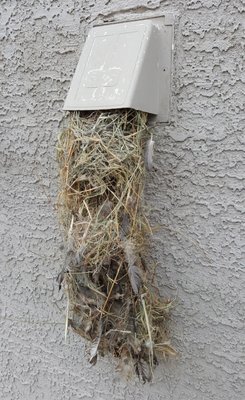 Dryer vent cleaning - Keep your home safe and your dryer efficient with Somri Home Services. Our professional cleaning removes lint buildup, reduces fire risks, and lowers energy bills. For just $139, enjoy better dryer performance and peace of mind Dryer vent cleaning - Keep your home safe and your dryer efficient with Somri Home Services. Our professional cleaning removes lint buildup, reduces fire risks, and lowers energy bills. For just $139, enjoy better dryer performance and peace of mind