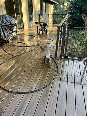 Composite deck cleaning and treatment - Complete composite deck cleaning and treatment Composite deck cleaning and treatment - Complete composite deck cleaning and treatment
