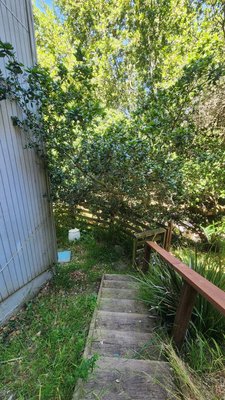Brush Clearing project - This was a brush clearing on a steep lot where we used a pulley system to bring up the cut brush for hauling. Brush Clearing project - This was a brush clearing on a steep lot where we used a pulley system to bring up the cut brush for hauling.