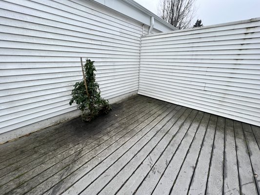 Algae be gone! - Quick algae and moss removal for this condo in Beaverton Algae be gone! - Quick algae and moss removal for this condo in Beaverton