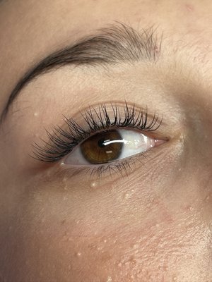 Lash sets - Client wanted a classic lash set Lash sets - Client wanted a classic lash set