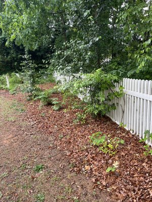 Couple clean up jobs completed - All clients wanted beds cleaned up fresh mulch throughout for a property that stands out. That’s exactly what we delivered!