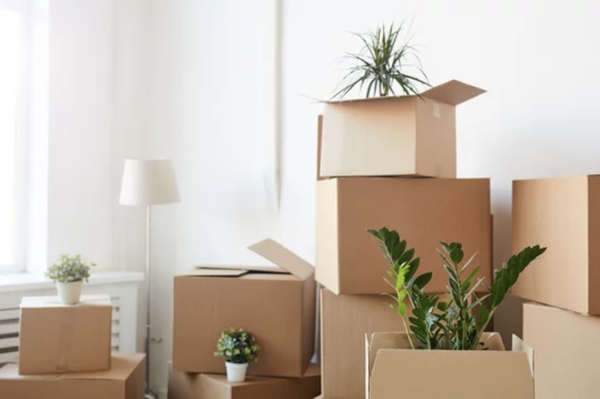 Move In/Out Cleaning - We are professionals cleaners offering our services to the Bay Area. We have 15 years of experience in the cleaning industry. We use eco-friendly and homemade cleaning products. Whether you need weekly cleaning or a one time clean, we are here for you! Call us today for a free estimate! Move In/Out Cleaning - We are professionals cleaners offering our services to the Bay Area. We have 15 years of experience in the cleaning industry. We use eco-friendly and homemade cleaning products. Whether you need weekly cleaning or a one time clean, we are here for you! Call us today for a free estimate!