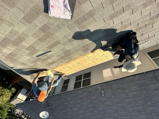 Roof Repair - I saw the damages on the roof which lead to the leaking inside of the house so we got up there and started working as soon as we could and replaced the rotten plywood with a new sheet and from there we put synthetic felt on the new sheet of plywood and from there we put back the drip edge and put new shingles were we took off the rotten plywood