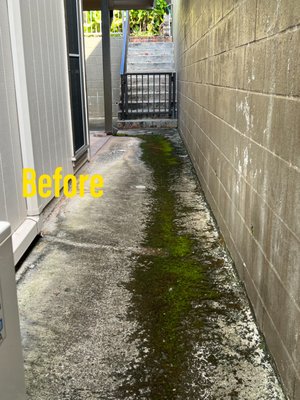 Pressure Washing - This job consists of mold and algae removal from the concrete on the side of the house. Pressure Washing - This job consists of mold and algae removal from the concrete on the side of the house.