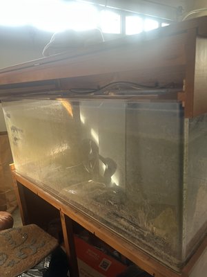 Acrylic tank cleaning - Our client got this used tank and wanted help cleaning it. It was extremely dirty which led him to be shocked when we brought it back to his house looking brand new! Acrylic tank cleaning - Our client got this used tank and wanted help cleaning it. It was extremely dirty which led him to be shocked when we brought it back to his house looking brand new!
