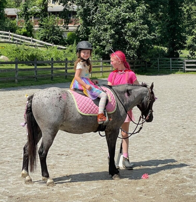 Riding Lessons - Good Pickin’ Farm is excited to offer Beginner, Advanced Beginner, and Intermediate horseback riding lessons given by Massachusetts Licensed Riding Instructors. Students will learn about horsemanship, grooming and tacking, and, of course riding. Riding Lessons - Good Pickin’ Farm is excited to offer Beginner, Advanced Beginner, and Intermediate horseback riding lessons given by Massachusetts Licensed Riding Instructors. Students will learn about horsemanship, grooming and tacking, and, of course riding.
