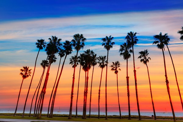 Free Delivery in Los Angeles! - We cover most of the Los Angeles area with a low order, free delivery! Even if you're outside of our zone, get an insulated box of the best meat and seafood and a very low shipping cost (under $10!) Free Delivery in Los Angeles! - We cover most of the Los Angeles area with a low order, free delivery! Even if you're outside of our zone, get an insulated box of the best meat and seafood and a very low shipping cost (under $10!)