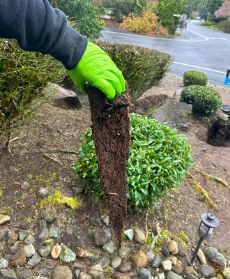 Hydro-Jetting Drain Cleaning - Using our high pressure hydro jetting machine with different fitting and heads we can remove stubborn clogs including roots, sludge, grease, dirt, debris etc.