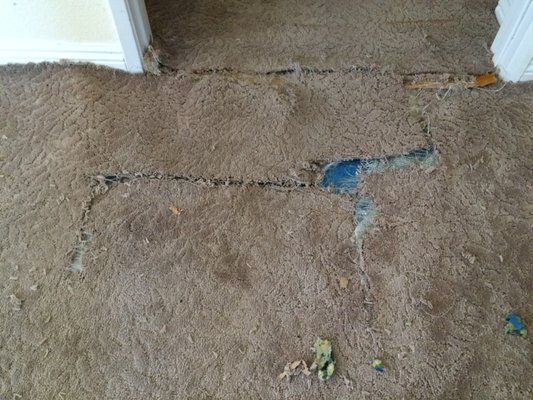 Carpet Repair - Elite Carpet Care Inc. "Servicing The Elite People" Carpet Repair - Elite Carpet Care Inc. "Servicing The Elite People"