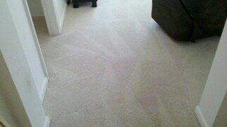 Residential and Commercial Carpet Cleaning - Kwik Dry Total Cleaning is experienced in cleaning all types of carpeting, fibers and soiling conditions. There is no job (or stain) too big or too small for the Kwik Dry Carpet Cleaning experts!
At Kwik Dry, our carpet cleaning technicians are not only highly-trained and experienced carpet cleaning professionals, but they are also owner operators who have a personal interest in the growth and reputation of their business. That's why you can count on Kwik Dry to perform the job right the first time, every time. Residential and Commercial Carpet Cleaning - Kwik Dry Total Cleaning is experienced in cleaning all types of carpeting, fibers and soiling conditions. There is no job (or stain) too big or too small for the Kwik Dry Carpet Cleaning experts!
At Kwik Dry, our carpet cleaning technicians are not only highly-trained and experienced carpet cleaning professionals, but they are also owner operators who have a personal interest in the growth and reputation of their business. That's why you can count on Kwik Dry to perform the job right the first time, every time.