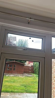 local Windows replacement | Chicago, IL - Sauganash Window Services Windows replacement | Chicago, IL | March 2019
