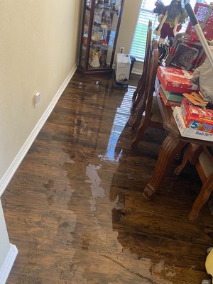 1st floor flooded with clean water (Category 1) from toilet tank. - This water damage mitigation and restoration was done at one of the houses where the toilet tank was overflowing and flooded the whole 1st floor through the night. Damage was significant to the walls and hardwood floors, which required demolition partially. 1st floor flooded with clean water (Category 1) from toilet tank. - This water damage mitigation and restoration was done at one of the houses where the toilet tank was overflowing and flooded the whole 1st floor through the night. Damage was significant to the walls and hardwood floors, which required demolition partially.