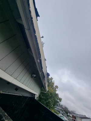 Siding & Full Exterior Paint - Check out our most recent T1-11 siding and full exterior paint project! The client had eaves + fascia board rotting and paint peeling around the house. We were able to completely resolve the damages and give the home a beautiful  new look.
