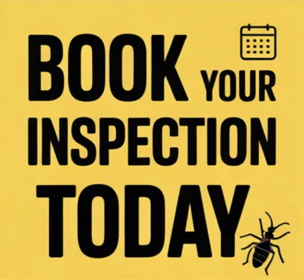 Glen Oaks Pest Control Termite Inspection | Dallas, TX - Expert Termite Inspection in Dallas, TX by Glen Oaks Pest Control Glen Oaks Pest Control Termite Inspection | Dallas, TX - Expert Termite Inspection in Dallas, TX by Glen Oaks Pest Control