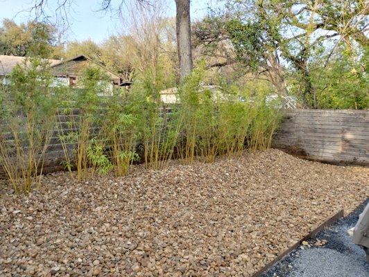 Back Yard Remodel - The client needed a privacy barrier in the back and also a solution to the overgrown wash out in the back. We came up with this design together Back Yard Remodel - The client needed a privacy barrier in the back and also a solution to the overgrown wash out in the back. We came up with this design together