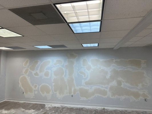 Wall Repair & Painting - puttying, sanding, painting of walls