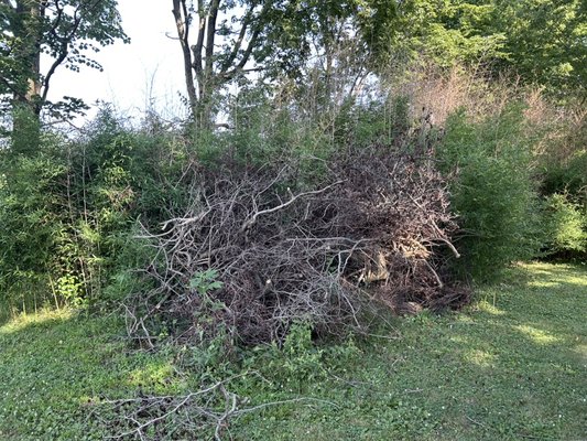 Yard Debris Cleanup - We hauled away a large brush pile, hay bales, and cleaned up the area, leaving the property looking much better.
Need help with a cleanup? We offer:
• Junk Removal
• Property Cleanouts
• Yard Debris Removal
• Small Demolition
• Furniture & Appliance Removal
• Moving Help
📞 Call or Text: 937-570-5138
Free estimates. Fast, reliable, and affordable.
You Call. We Haul. It’s That Simple. Yard Debris Cleanup - We hauled away a large brush pile, hay bales, and cleaned up the area, leaving the property looking much better.
Need help with a cleanup? We offer:
• Junk Removal
• Property Cleanouts
• Yard Debris Removal
• Small Demolition
• Furniture & Appliance Removal
• Moving Help
📞 Call or Text: 937-570-5138
Free estimates. Fast, reliable, and affordable.
You Call. We Haul. It’s That Simple.