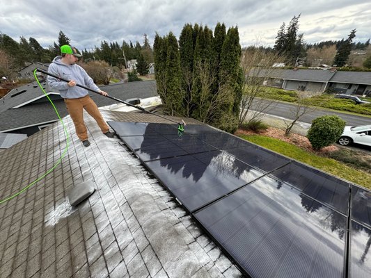 Moss Treatment - Roof treatment for moss prevention. Lay Zinc sulfate on the roof along peaks, ridges, and below chimneys / vents to ensure proper coverage. After rain the powder will rinse down and coat the roof preventing future moss growth and remediate moss currently on the roof. If you have moderate to light moss we recommend a moss removal service instead as the chemical treatments will not kill / remove large pieces of moss. Moss Treatment - Roof treatment for moss prevention. Lay Zinc sulfate on the roof along peaks, ridges, and below chimneys / vents to ensure proper coverage. After rain the powder will rinse down and coat the roof preventing future moss growth and remediate moss currently on the roof. If you have moderate to light moss we recommend a moss removal service instead as the chemical treatments will not kill / remove large pieces of moss.