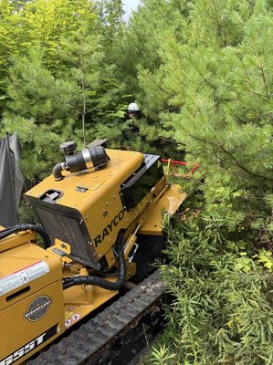 Stump Grinding Only - We transform those ugly lingering stumps into the land you want to see. Grinding at least 8-12 inches below surface level to ensure you never have to see the stump again. Stump Grinding Only - We transform those ugly lingering stumps into the land you want to see. Grinding at least 8-12 inches below surface level to ensure you never have to see the stump again.