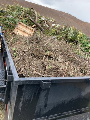Heavy green wast removal - This was done out in makawao a customer need 2 larger green waste piles removed Heavy green wast removal - This was done out in makawao a customer need 2 larger green waste piles removed