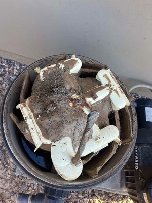 DE Filter system cleaning - There was no suction through the skimmer because of a clogged filter system. Filter system cleaned.