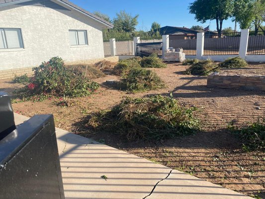 Front Yard Vegetation Removal - This project involved a full front yard cleanout in Peoria, AZ. The property had multiple overgrown bougainvillea bushes, dry weeds, and scattered yard debris throughout the space.
Our team carefully cut down and sectioned the thorn-heavy vegetation, bundled all debris for organized removal, and completed a full haul-away service. All labor, loading, and disposal were included.
The yard was left fully cleared, clean, and ready for landscaping or future upgrades.
Reliable service. No mess left behind. Front Yard Vegetation Removal - This project involved a full front yard cleanout in Peoria, AZ. The property had multiple overgrown bougainvillea bushes, dry weeds, and scattered yard debris throughout the space.
Our team carefully cut down and sectioned the thorn-heavy vegetation, bundled all debris for organized removal, and completed a full haul-away service. All labor, loading, and disposal were included.
The yard was left fully cleared, clean, and ready for landscaping or future upgrades.
Reliable service. No mess left behind.