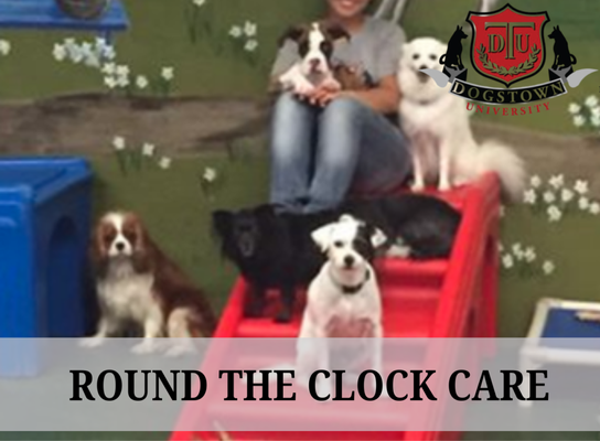 Around The Clock Care - Call today!