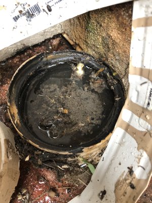Hydro jetting Gutter drain - Best hydro jetting price in all San Diego