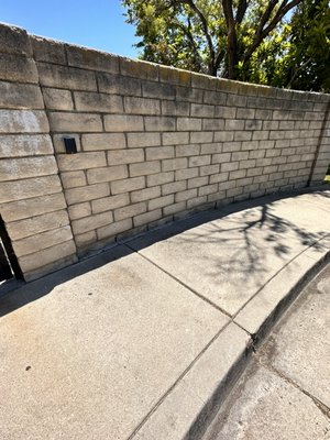 Mold Removal
 Avoid Potential Health Hazards & Costly HOA Fines - Mold Removal
 Avoid Potential Health Hazards & Costly HOA Fines
