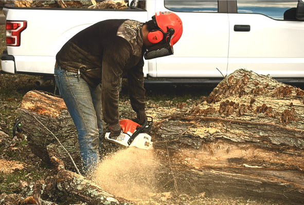 Tree Cutting and Removal Services - Muletown Milling is your trusted partner for professional tree cutting and removal services in Columbia, Tennessee. With years of experience and a commitment to safety and quality, we provide reliable solutions for residential and commercial properties. Our skilled team uses state-of-the-art equipment to ensure every job is completed efficiently and safely. Tree Cutting and Removal Services - Muletown Milling is your trusted partner for professional tree cutting and removal services in Columbia, Tennessee. With years of experience and a commitment to safety and quality, we provide reliable solutions for residential and commercial properties. Our skilled team uses state-of-the-art equipment to ensure every job is completed efficiently and safely.