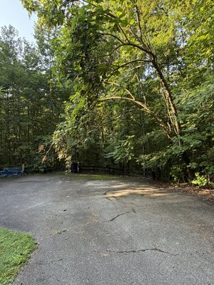 Driveway and Deck cleanup! - This tree with THOUSANDS of nuts was overhanging this customers driveway dropping nuts everywhere! No more! Driveway and Deck cleanup! - This tree with THOUSANDS of nuts was overhanging this customers driveway dropping nuts everywhere! No more!