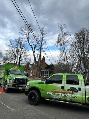 Large Maple removal in Arlington, VA - The Mature Red Maple tree about 45 in. DBH was a hazard to the family and home. The power lines were very close and those limbs were removed by the utility contractor.