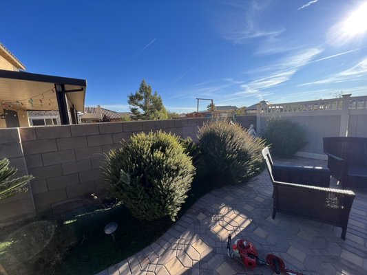 Landscaping Maintenance services - This is one of many examples of landscaping clean up and maintenance. Trimmed down bushes , tree suckers , palm trees, buganvillas bushes, tree suckers and full clean up of back and front yard, by blowing all the debris and dead leaves in property .