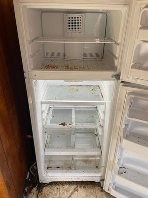 Fridge Cleaning - This fridge was deep cleaning Fridge Cleaning - This fridge was deep cleaning