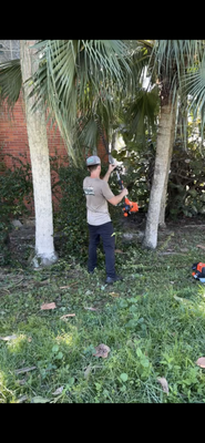 Trimmings for bushes and trees - We offer hedge trimming included in most monthly maintenance plans! Trimmings for bushes and trees - We offer hedge trimming included in most monthly maintenance plans!