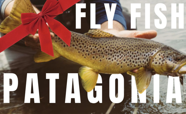 Fly Fishing in Patagonia- Fly Fishing & Outdoor Adventure Trip - Come Join us for Christmas! December 19, 2026 to December 26, 2026
Or come join us for New Years or Valentine's Day! Jan. 16, 2027 to Jan. 23, 2027 OR Feb. 13 to Feb. 20
$15,700 per couple or $7,850 per single angler
We will have all meals taken care of, all transport including the domestic flights to Puerto Jimenez and 5 minute transport from airport to the lodge, all fishing expenses and all lodging costs. Each couple will have their own Bungalow with king size bed, all with beach views, air conditioning, and hot water. Alcohol can be purchased on site but is not included. This lodge has flocks of scarlet macaws that live on the property as well as monkeys and toucans, all of which are actively overhead the common area throughout the day, especially at breakfast! Fly Fishing in Patagonia- Fly Fishing & Outdoor Adventure Trip - Come Join us for Christmas! December 19, 2026 to December 26, 2026
Or come join us for New Years or Valentine's Day! Jan. 16, 2027 to Jan. 23, 2027 OR Feb. 13 to Feb. 20
$15,700 per couple or $7,850 per single angler
We will have all meals taken care of, all transport including the domestic flights to Puerto Jimenez and 5 minute transport from airport to the lodge, all fishing expenses and all lodging costs. Each couple will have their own Bungalow with king size bed, all with beach views, air conditioning, and hot water. Alcohol can be purchased on site but is not included. This lodge has flocks of scarlet macaws that live on the property as well as monkeys and toucans, all of which are actively overhead the common area throughout the day, especially at breakfast!
