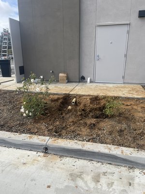 Post construction cleaning - Post construction cleanup at local business location. Post construction cleaning - Post construction cleanup at local business location.