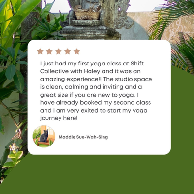 Reviews - Reviews from our Clients