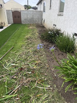 Weed cleaning and new dirt install - This weeding job was done in Los Angeles. Weed cleaning and new dirt install - This weeding job was done in Los Angeles.