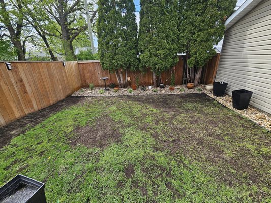 Property Rejuvenation - Landscaping comes in all shapes and sizes. I'm Showcasing a recent Rejuvenation project of mine.
Work Area 1:
We spent some time clearing and removing any debris or dead vegetation from nearby trees or plants. Existing mulch and old lawn edging had to be removed as well. Once the main bed was cleaned we installed 4way mix soil in to the bed. This allowed us to build the grade better for water drainage management. After the soil installation we prepped the entire bed with high-way grade fabric. This helps prevent weeds or anything invasive to grow through your garden area/bed. During the fabric preparation Lawn edging was then installed to be the barrier between grass and rock. Finally we installed 1-2.5inch Riverstone.
Work Area 2:
Involved revamping 2 garden beds in the front of the property. Clearing and removing any weeds or invasive unwanted plants. Planted over 17 various plants in total. Soil was then installed to help showcase the garden beds with a " Fresh " look and appeal. While on site staff applied one application of weed spray after install.
Lastly Staff top-dressed all grass areas on the property. Filling and leveling any deviations or damaged grass areas.
We had fun with this one, Thanks for taking the time to check out this project. Property Rejuvenation - Landscaping comes in all shapes and sizes. I'm Showcasing a recent Rejuvenation project of mine.
Work Area 1:
We spent some time clearing and removing any debris or dead vegetation from nearby trees or plants. Existing mulch and old lawn edging had to be removed as well. Once the main bed was cleaned we installed 4way mix soil in to the bed. This allowed us to build the grade better for water drainage management. After the soil installation we prepped the entire bed with high-way grade fabric. This helps prevent weeds or anything invasive to grow through your garden area/bed. During the fabric preparation Lawn edging was then installed to be the barrier between grass and rock. Finally we installed 1-2.5inch Riverstone.
Work Area 2:
Involved revamping 2 garden beds in the front of the property. Clearing and removing any weeds or invasive unwanted plants. Planted over 17 various plants in total. Soil was then installed to help showcase the garden beds with a " Fresh " look and appeal. While on site staff applied one application of weed spray after install.
Lastly Staff top-dressed all grass areas on the property. Filling and leveling any deviations or damaged grass areas.
We had fun with this one, Thanks for taking the time to check out this project.