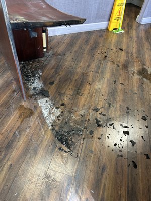 Industrial/Commercial Fire, Smoke & Water Damage Mitigation Service - A heinous act of Vandalism, breaking and entry that became arson started this commercial loss in this textile industrial plant & offices.
We have the personnel, equipment, knowledge, experience and credentials to professionally handle any type of loss, big or small.